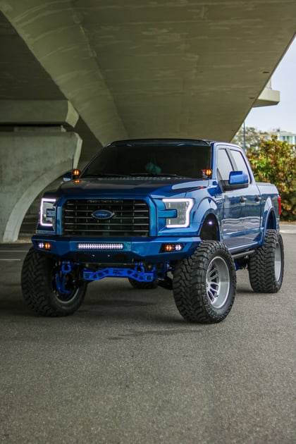 6 Inch Lifted 2017 Ford F-150 2WD