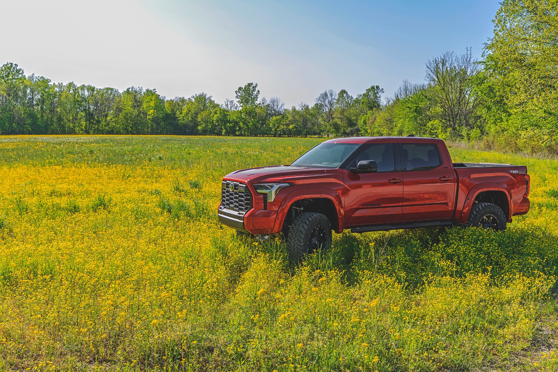 Fender Flares | Defender | Toyota Tundra 2WD / 4WD (2022-2024)