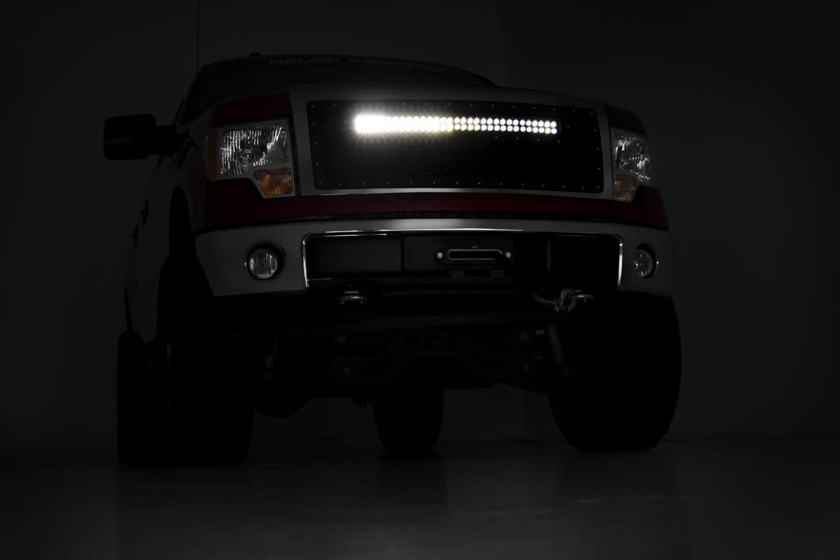 Mesh Grille | 30" Dual Row LED | Black | Ford F-150 2WD / 4WD (09-14)