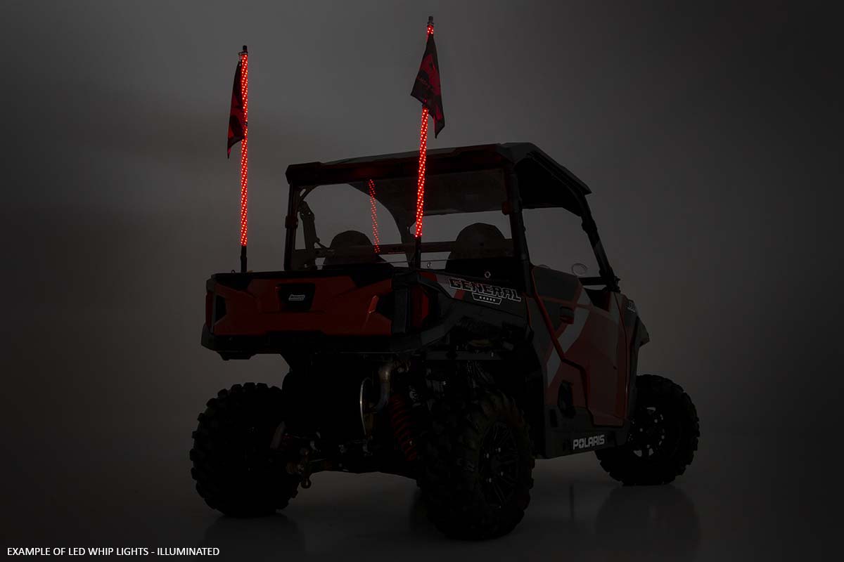 Whip Mount | Cage | 4' Multl-Color LED Whip Pair | Polaris RZR