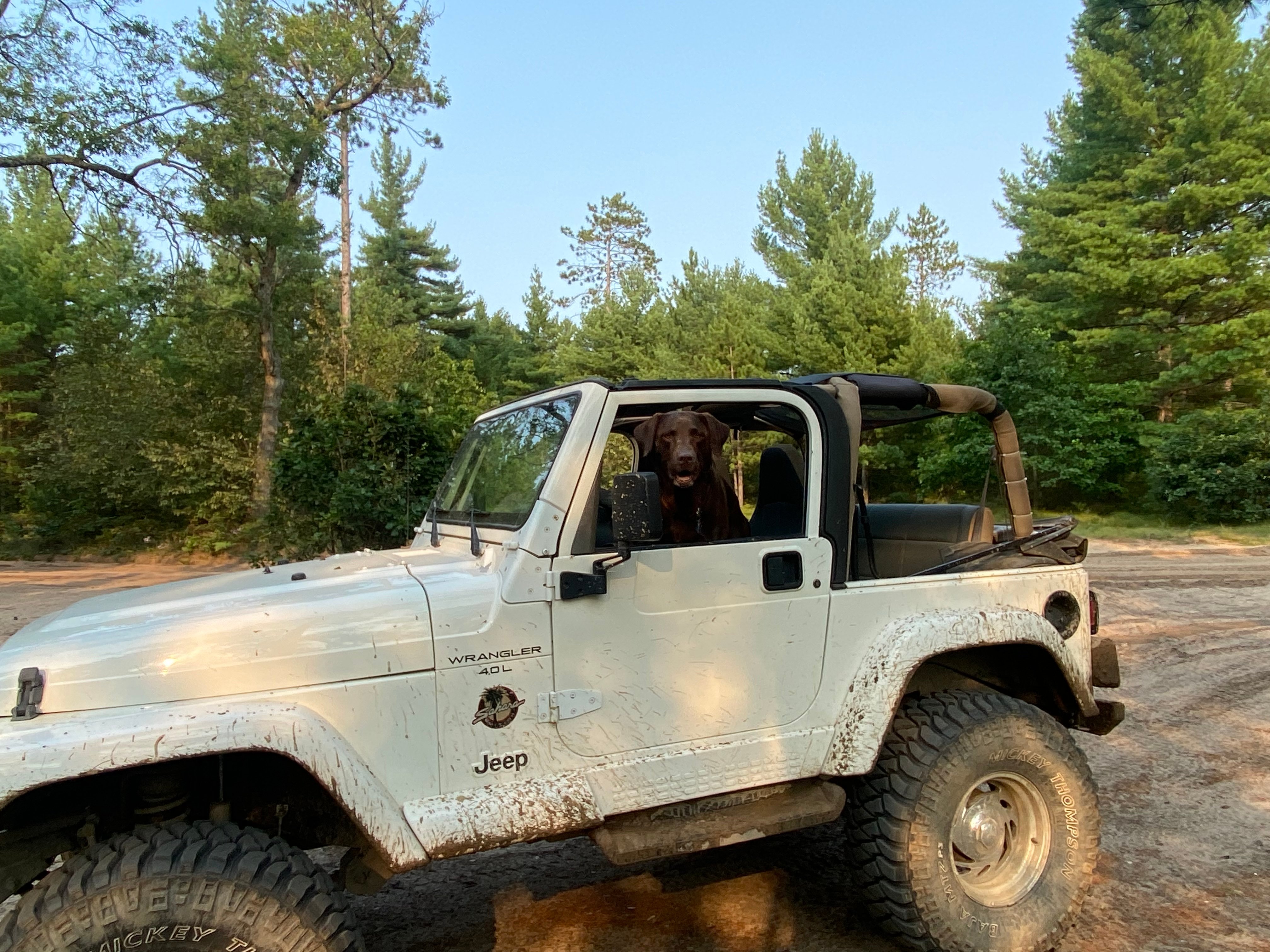 1999 best sale jeep tj